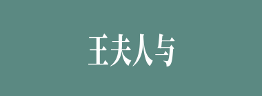 王夫人与黛玉、凤姐、宝钗的亲属关系分别是（）、（）、（）。