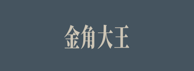 金角大王用扇扇出烈火败悟空。悟空钻入洞内，窃得（)和扇子。